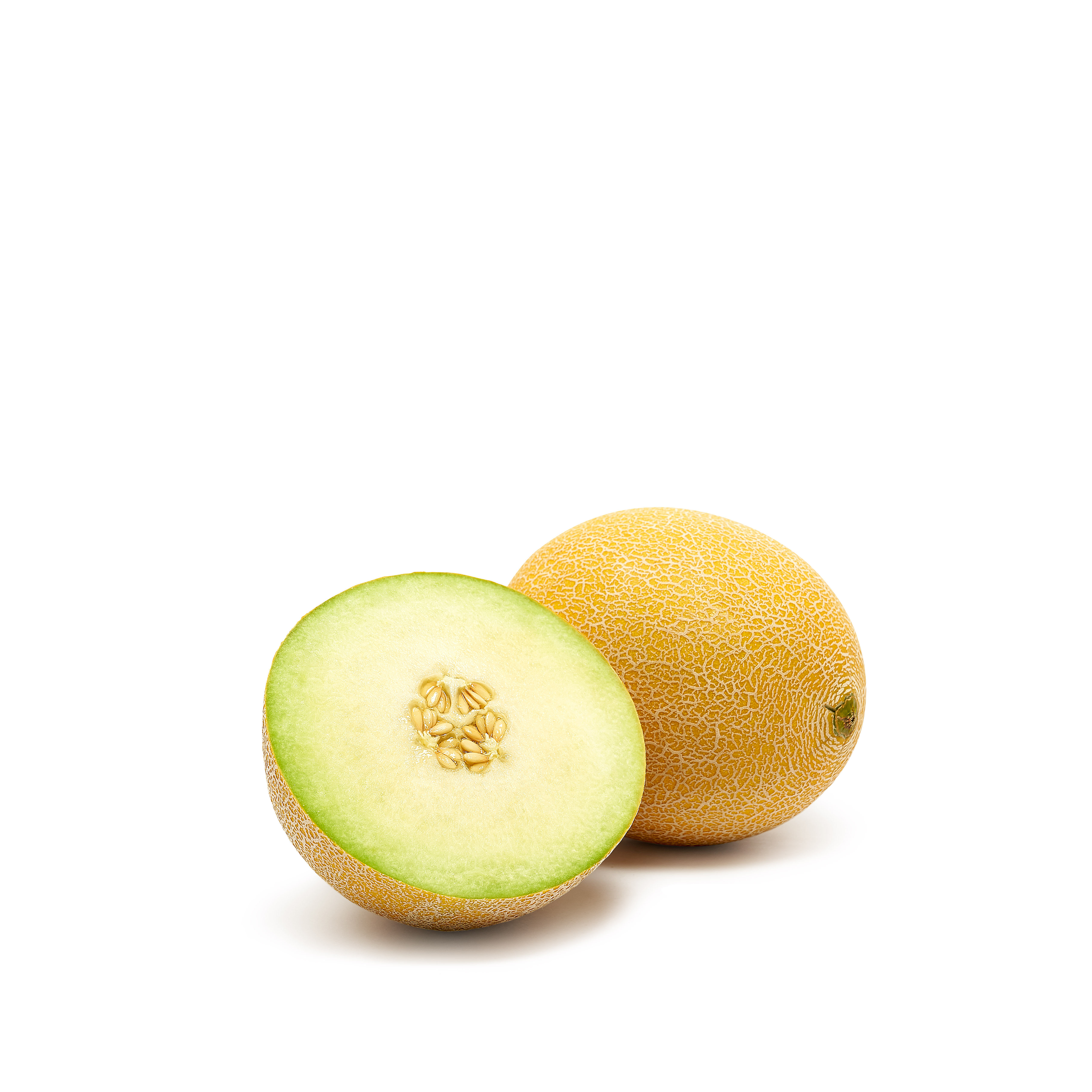 Galia Melon